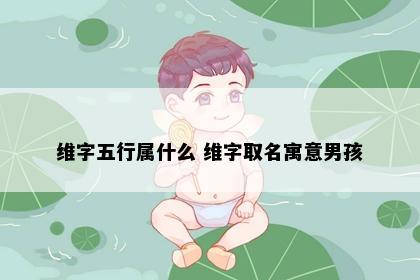 维字五行属什么 维字取名寓意男孩