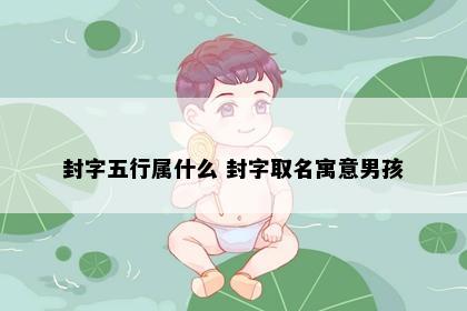 封字五行属什么 封字取名寓意男孩