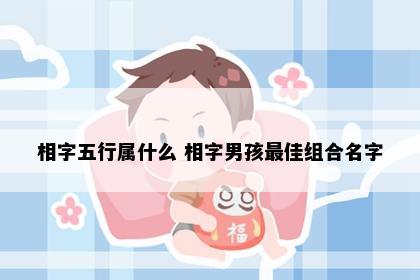 相字五行属什么 相字男孩最佳组合名字