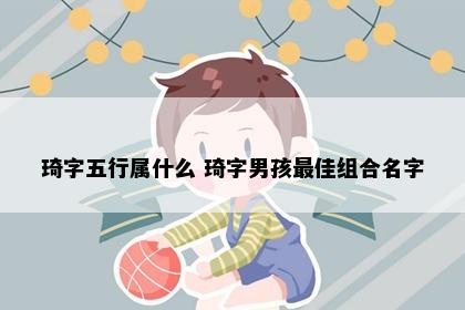 琦字五行属什么 琦字男孩最佳组合名字