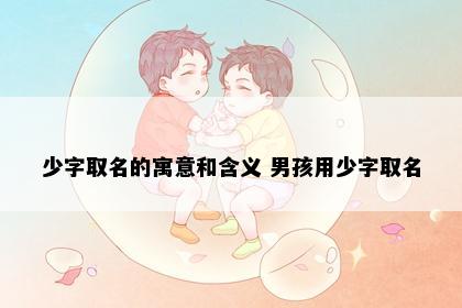 少字取名的寓意和含义 男孩用少字取名