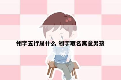 翎字五行属什么 翎字取名寓意男孩