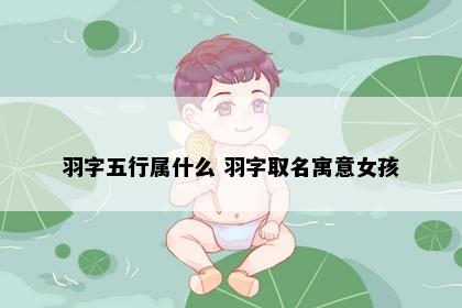 羽字五行属什么 羽字取名寓意女孩
