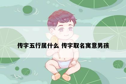 传字五行属什么 传字取名寓意男孩
