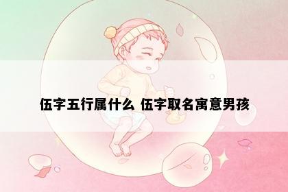 伍字五行属什么 伍字取名寓意男孩