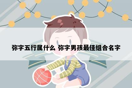 弥字五行属什么 弥字男孩最佳组合名字