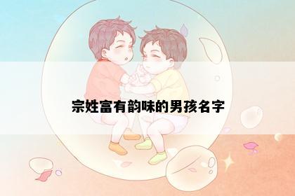 宗姓富有韵味的男孩名字