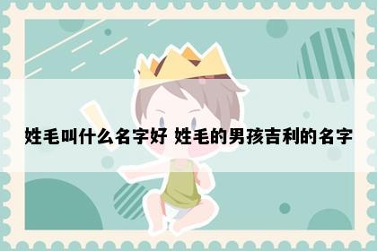 姓毛叫什么名字好 姓毛的男孩吉利的名字