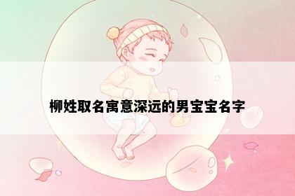 柳姓取名寓意深远的男宝宝名字
