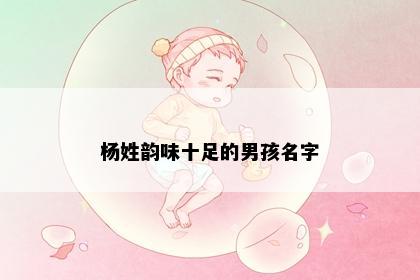 杨姓韵味十足的男孩名字