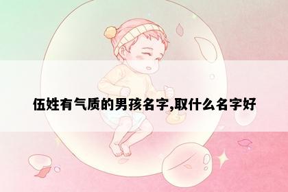 伍姓有气质的男孩名字,取什么名字好