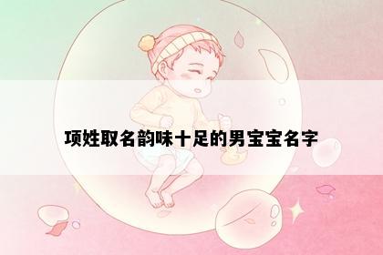项姓取名韵味十足的男宝宝名字