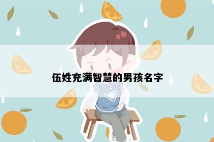 伍姓充满智慧的男孩名字