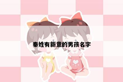 秦姓有新意的男孩名字