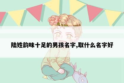 陆姓韵味十足的男孩名字,取什么名字好