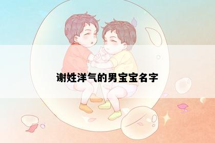 谢姓洋气的男宝宝名字