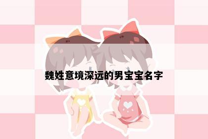 魏姓意境深远的男宝宝名字