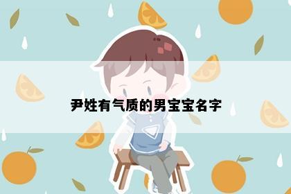 尹姓有气质的男宝宝名字