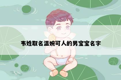 韦姓取名温婉可人的男宝宝名字
