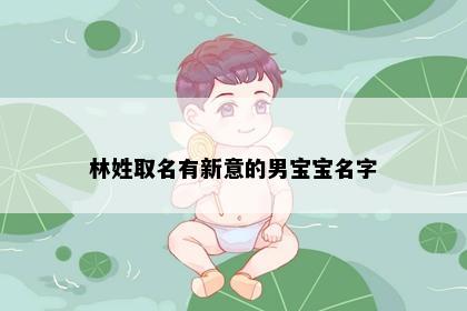 林姓取名有新意的男宝宝名字