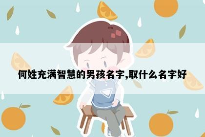 何姓充满智慧的男孩名字,取什么名字好