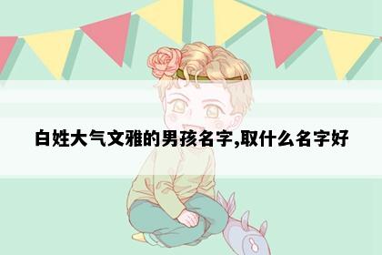 白姓大气文雅的男孩名字,取什么名字好
