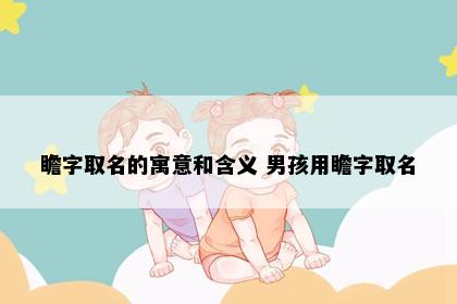 瞻字取名的寓意和含义 男孩用瞻字取名
