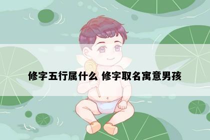 修字五行属什么 修字取名寓意男孩