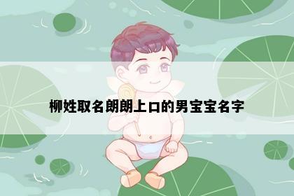 柳姓取名朗朗上口的男宝宝名字