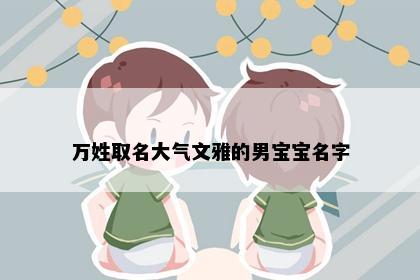 万姓取名大气文雅的男宝宝名字