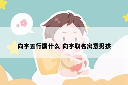 向字五行属什么 向字取名寓意男孩