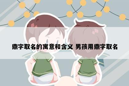 鼎字取名的寓意和含义 男孩用鼎字取名