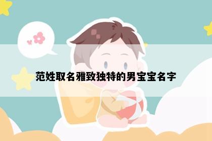 范姓取名雅致独特的男宝宝名字