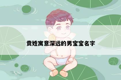 贲姓寓意深远的男宝宝名字