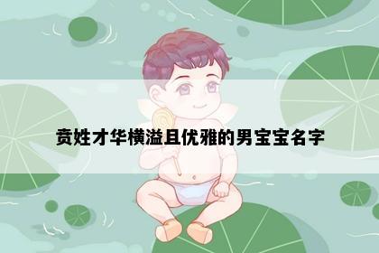 贲姓才华横溢且优雅的男宝宝名字