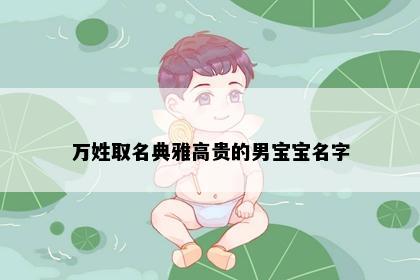 万姓取名典雅高贵的男宝宝名字