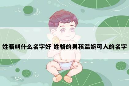 姓骆叫什么名字好 姓骆的男孩温婉可人的名字