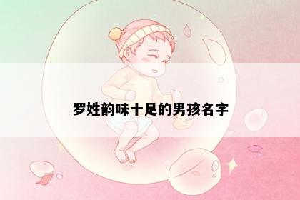 罗姓韵味十足的男孩名字