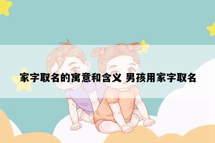 家字取名的寓意和含义 男孩用家字取名