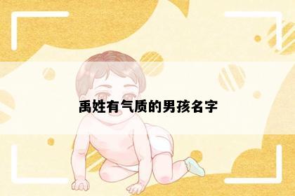 禹姓有气质的男孩名字