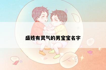 盛姓有灵气的男宝宝名字