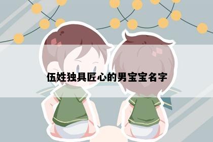 伍姓独具匠心的男宝宝名字
