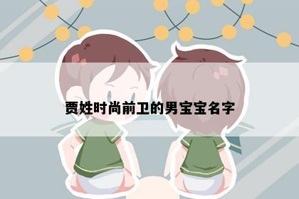 贾姓时尚前卫的男宝宝名字