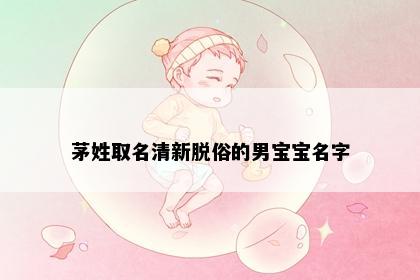 茅姓取名清新脱俗的男宝宝名字