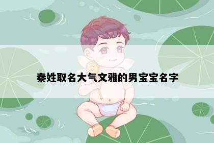 秦姓取名大气文雅的男宝宝名字