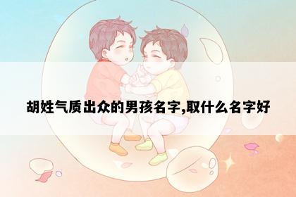 胡姓气质出众的男孩名字,取什么名字好