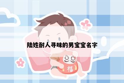 陆姓耐人寻味的男宝宝名字