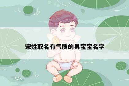 宋姓取名有气质的男宝宝名字