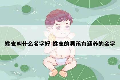 姓支叫什么名字好 姓支的男孩有涵养的名字