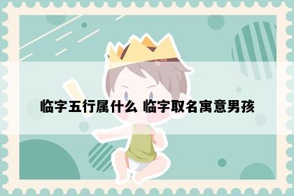 临字五行属什么 临字取名寓意男孩